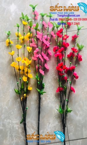 hoa dao hoa mai tet